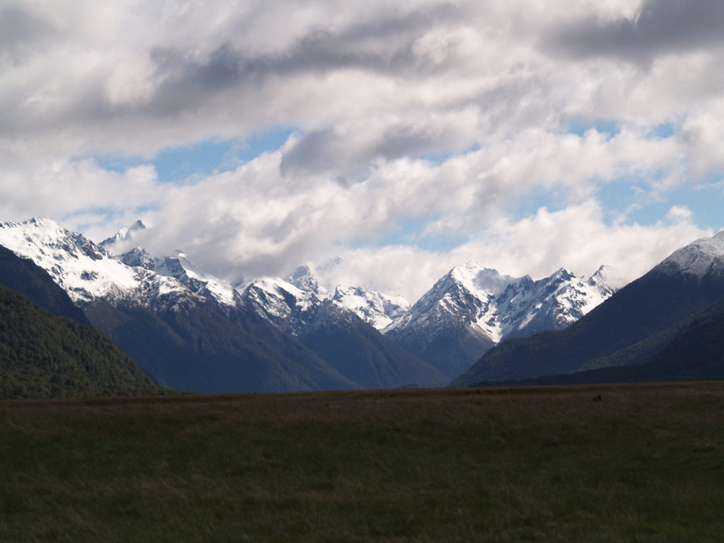 Lucid dreams of New Zealand